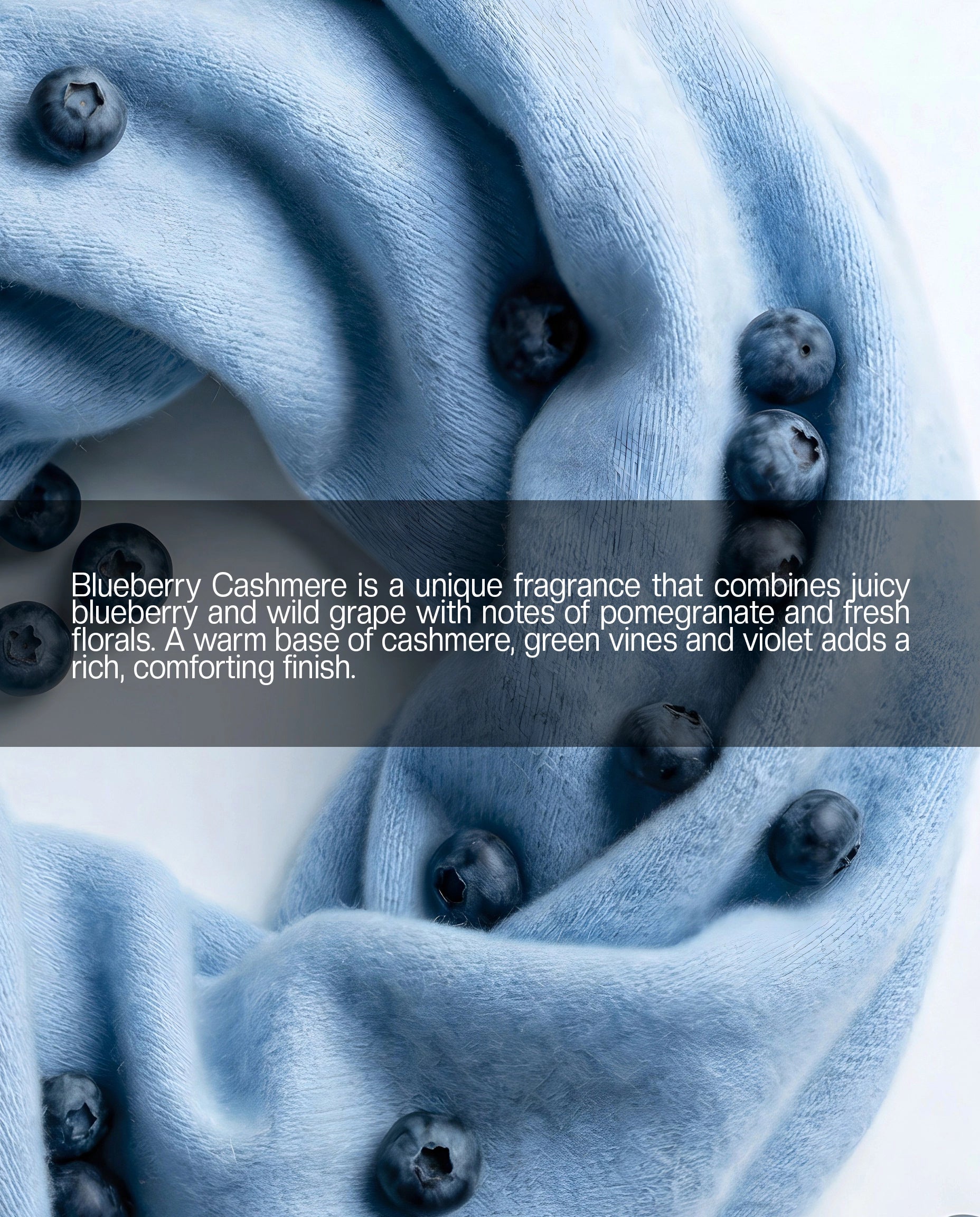 Blueberry Cashmere